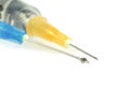Medical syringes with injection solution. Royalty Free Stock Photo