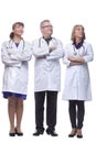 Medical team looking at camera, smiling Royalty Free Stock Photo