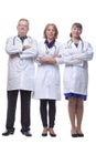 Medical team looking at camera, smiling Royalty Free Stock Photo