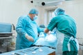 Medical team performing operation. Group of surgeon at work Royalty Free Stock Photo