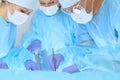 Medical team performing operation. Three of surgeons at work are busy of patient. Medicine, veterinary or healthcare and Royalty Free Stock Photo