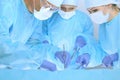 Medical team performing operation. Three of surgeons at work are busy of patient. Medicine, veterinary or healthcare and Royalty Free Stock Photo