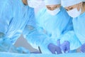 Medical team performing operation. Three of surgeons at work are busy of patient. Medicine, veterinary or healthcare and Royalty Free Stock Photo