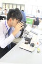 Medical technicians are looking at the microscope To check for viruses Or bacteria Suitable for design in the COVID-19 epidemic