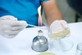 Medical technicians working on bacteria culture of pathogens in Royalty Free Stock Photo