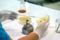 Medical technicians working on bacteria culture of pathogens in Royalty Free Stock Photo