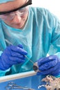 Medical technologist slicing a tissue sample