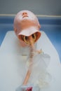 Medical training - intubation of a child sized manikin using an endotracheal tube and video laryngoscopes.