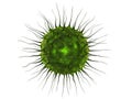 Medical virus closeup isolated
