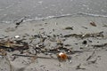 Medical waste washed up on a beach