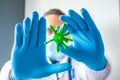 Medical worker, doctor, scientist holds in hand 3D model of virus - influenza, coronavirus, chickenpox, measles and other pathogen