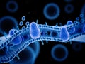 A cell membrane Royalty Free Stock Photo