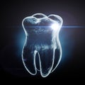 Medically Accurate Healthy Tooth X-Ray View. 3d Rendering