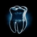 Medically Accurate Healthy Tooth X-Ray View. 3d Rendering