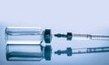 Medicament in a glass vial and syringe