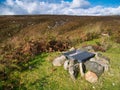 A medicated grit dispenser for red grouse on moorland in the Yorkshire Dales, Yorkshire, England, UK