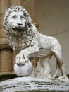 Medici Lion by Flaminio Vacca Royalty Free Stock Photo