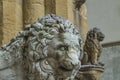 Medici lions from Florence, Italy Royalty Free Stock Photo