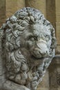 Medici lions from Florence, Italy Royalty Free Stock Photo
