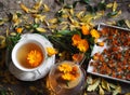 Medicinal autumn background. Herbal healthy marigold tea with a teapot, dried and fresh flowers on a wooden background with autumn Royalty Free Stock Photo