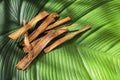Medicinal bark of Uncaria tomentosa - Amazon plant