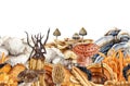 Medicinal different mushrooms seamless border. Watercolor illustration. Various painted medicinal fungi in vintage style