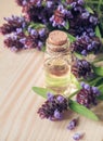 Medicinal herb. Common self heal Prunella Vulgaris scented oil. Royalty Free Stock Photo