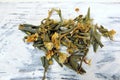 medicinal herb sagan daila for healing tea , selective focus ,