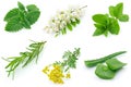 Medicinal herbs