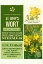 medicinal herbs benefits - herbalist advise - St Johns wort