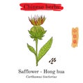 Medicinal herbs of China. Safflower Carthamus tinctorius