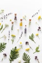 Medicinal herbs and flowers, glass bottles with herbs on a light table, natural medicine, aromatherapy, top view, place for text Royalty Free Stock Photo