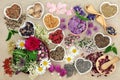 Medicinal Herbs and Flowers Royalty Free Stock Photo