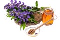 Medicinal herbs, honey, natural capsules and pills in medicine Royalty Free Stock Photo