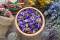 Medicinal herbs, mortar and bag of dry healthy flowers. Royalty Free Stock Photo