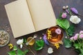 Medicinal herbs and plants, open blank paper book. Glass mug of healthy herbal tea and small honey jar.