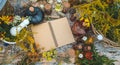 Medicinal herbs on the table. Place for notepad text. Selective focus.