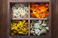 Medicinal herbs tansy daisy calendula yarrow in an old wooden bo Royalty Free Stock Photo