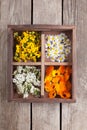 Medicinal herbs tansy daisy calendula yarrow in an old wooden bo Royalty Free Stock Photo