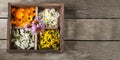 Medicinal herbs tansy daisy calendula yarrow in an old wooden box on the table Royalty Free Stock Photo