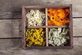 Medicinal herbs tansy daisy calendula yarrow in an old wooden bo Royalty Free Stock Photo