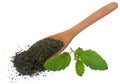 Medicinal holy basil or tulsi leaves Royalty Free Stock Photo