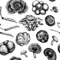 Medicinal mushroom background. Hand sketched adaptogenic plants seamless pattern. Perfect for recipe, menu, label, packaging. Hand Royalty Free Stock Photo