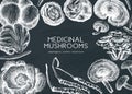 Medicinal mushroom illustrations background on chalkboard. Hand-sketched adaptogenic plants frame design. Perfect for recipe, menu