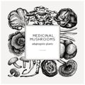 Medicinal mushroom square design. Hand-sketched adaptogenic plants frame. Perfect for recipe, menu, label, packaging. Hand