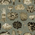 Medicinal mushrooms seamless pattern. Graphics vintage style painted illustration. Various mushroom collection