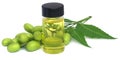 Medicinal neem extract Royalty Free Stock Photo