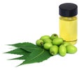 Medicinal neem extract with fruits and leaves Royalty Free Stock Photo