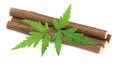 Medicinal neem twigs Royalty Free Stock Photo