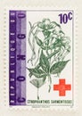 Medicinal Plant on Congo Stamp, with a Red Cross